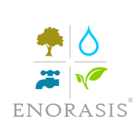 ENORASIS1