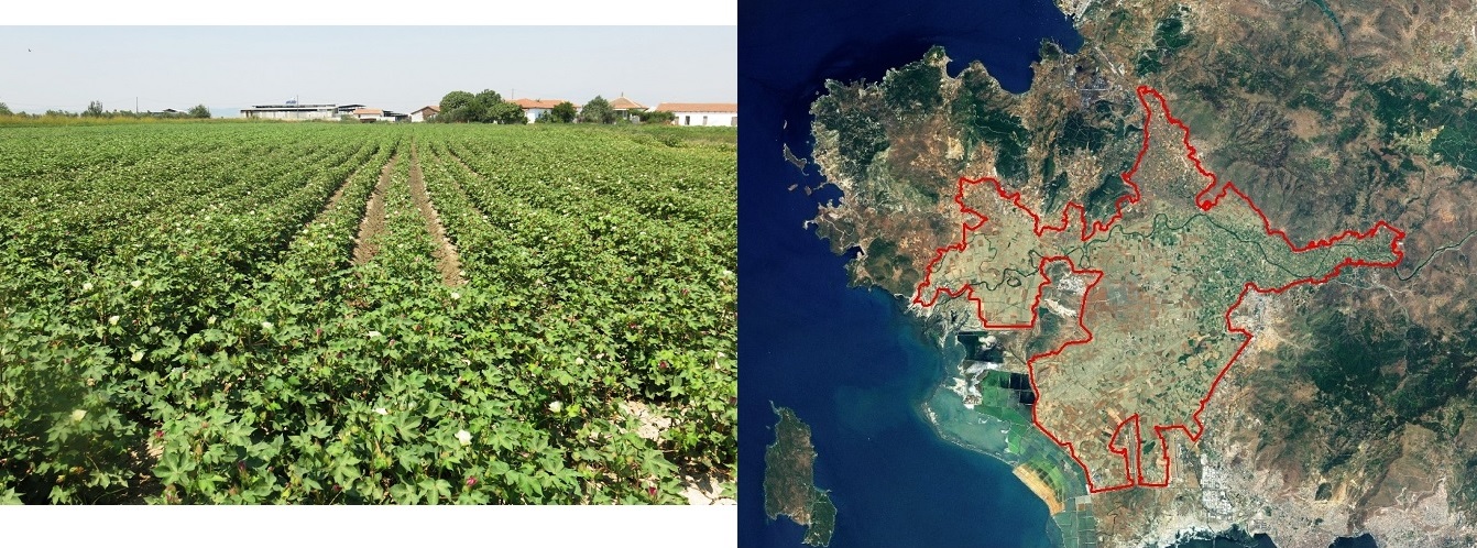 Turkish pilot for website